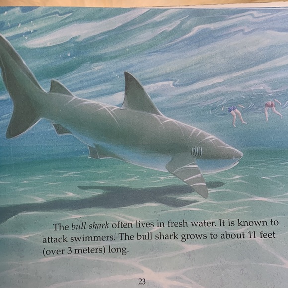 Bring back the bees science resource - Picture 12 of 12